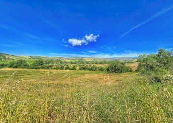 photo_20250529_073004.jpg - Casale Strada Provinciale Aquilaia, Scansano - foto 24