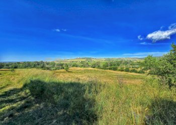 photo_20250529_073101.jpg - Casale Strada Provinciale Aquilaia, Scansano - foto 30