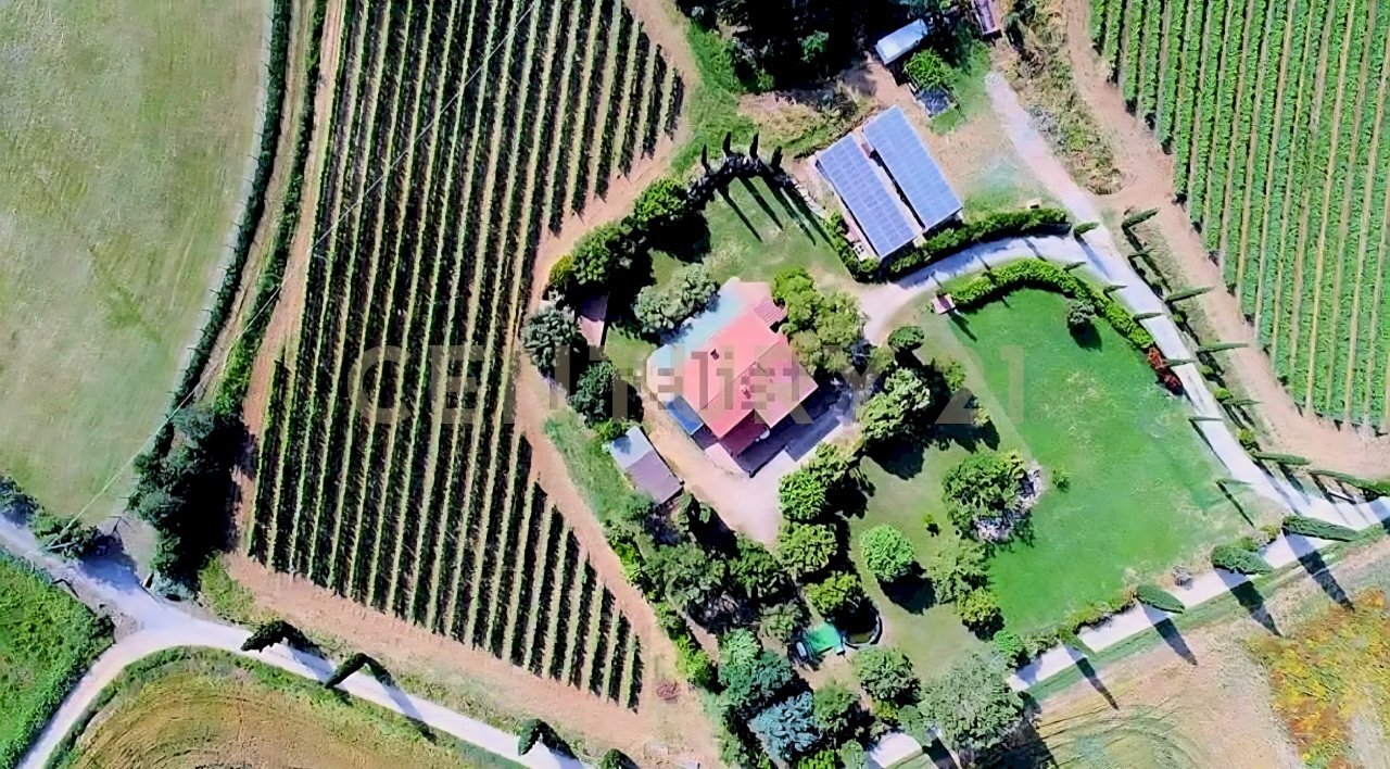 Tenuta lituano_20.jpg - Casale località poggetto dell'orso  snc, Roccastrada - foto 2