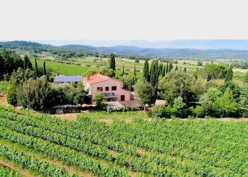 Tenuta lituano_.jpg - Casale località poggetto dell'orso  snc, Roccastrada - foto 1