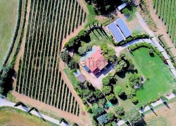 Tenuta lituano_20.jpg - Casale località poggetto dell'orso  snc, Roccastrada - foto 2