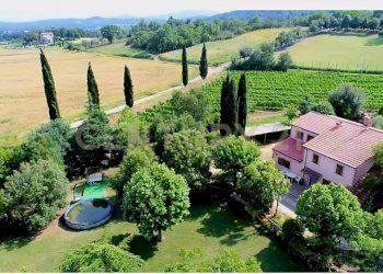 Tenuta lituano_0.jpg - Casale località poggetto dell'orso  snc, Roccastrada - foto 4