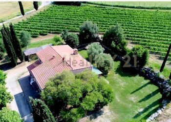Tenuta lituano9.jpg - Casale località poggetto dell'orso  snc, Roccastrada - foto 6