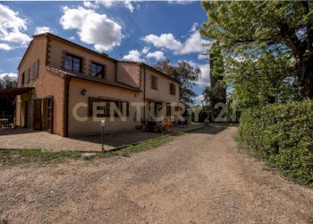 Tenuta lituano (27).jpeg - Casale località poggetto dell'orso  snc, Roccastrada - foto 19