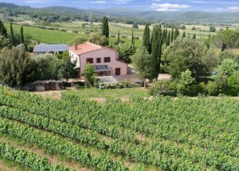 Tenuta lituano (31).jpeg - Casale località poggetto dell'orso  snc, Roccastrada - foto 23