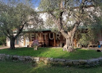 Tenuta lituano (32).jpeg - Casale località poggetto dell'orso  snc, Roccastrada - foto 24