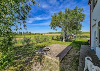 Podere Piatto Lavato-24.jpg - Casale Strada Comunale di Montalcino 65, Castiglione della Pescaia - foto 6