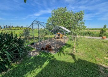 Podere Piatto Lavato-01.jpg - Casale Strada Comunale di Montalcino 65, Castiglione della Pescaia - foto 8