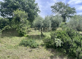 IMG_3716.jpeg - Porzione di casa Strada Marco Pantani 49, Manciano - foto 14