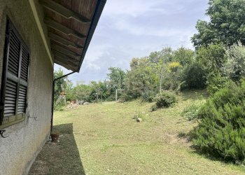 IMG_3717.jpeg - Porzione di casa Strada Marco Pantani 49, Manciano - foto 17