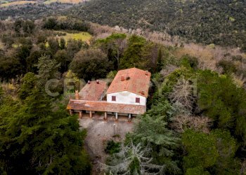 DJI_20250328110920_0580_D.jpg - Rustico sasso d'ombrone, Cinigiano - foto 3
