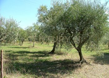 Casale agriturismo lampugnano 47, Civitella Paganico - photo 12