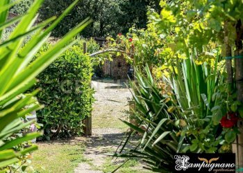 Casale agriturismo lampugnano 47, Civitella Paganico - photo 19