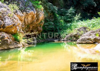 Casale agriturismo lampugnano 47, Civitella Paganico - photo 21