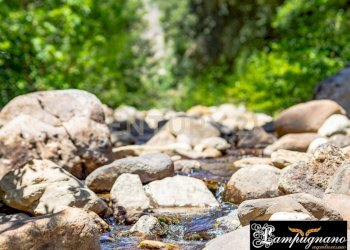 Casale agriturismo lampugnano 47, Civitella Paganico - photo 22