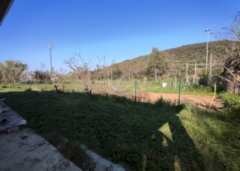 ORTO.jpeg - Magazzino SP59 12, Grosseto - foto 13