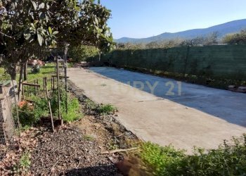 TERRENO 2 .jpeg - Magazzino SP59 12, Grosseto - foto 15