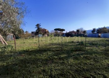 TERRENO 3.jpeg - Magazzino SP59 12, Grosseto - foto 16