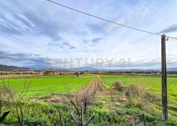 Podere monte antico-01.jpg - Townhouse Strada Interpoderale delle Baracche 5, Civitella Paganico - photo 20