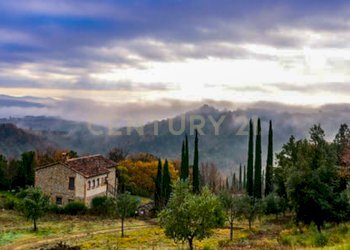 Podere Pari-09.jpg - Casale Via di Bagnolo 1, Civitella Paganico - photo 3