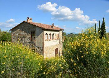Podere Pari-03.jpg - Casale Via di Bagnolo 1, Civitella Paganico - photo 5