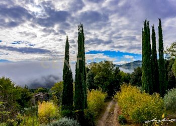 Giardino - Casale Via di Bagnolo 1, Civitella Paganico - photo 9