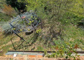 Giardino - Casale Via di Bagnolo 1, Civitella Paganico - photo 26
