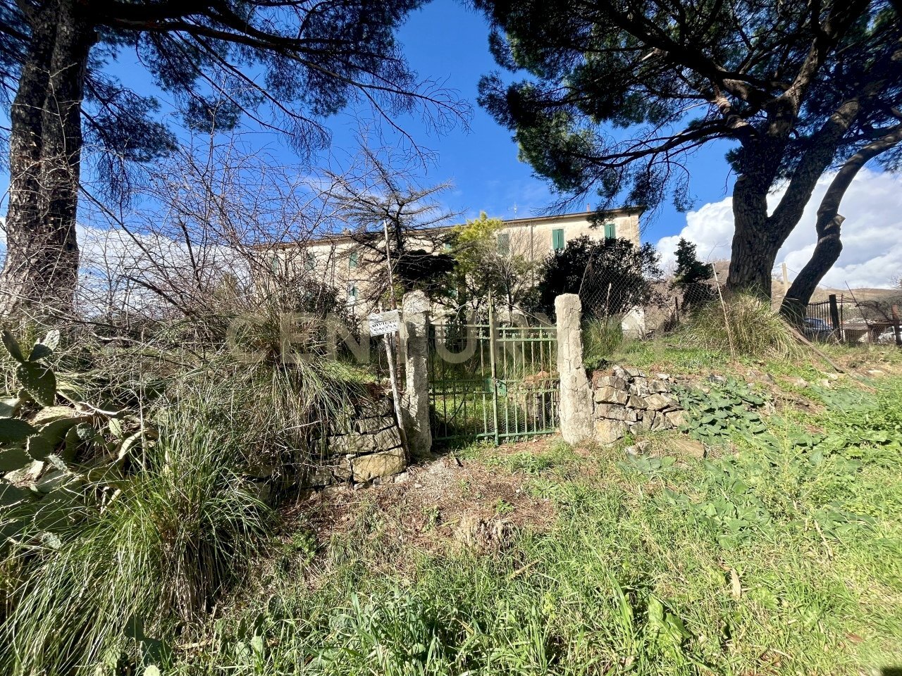 IMG_4477.jpg - Appartamento località casini, Scansano - foto 3