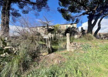 IMG_4477.jpg - Appartamento località casini, Scansano - foto 3