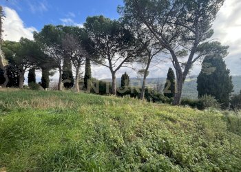 IMG_4454.jpg - Appartamento località casini, Scansano - foto 4