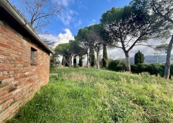 IMG_4455.jpg - Appartamento località casini, Scansano - foto 5