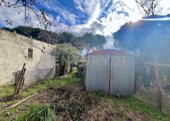 IMG_4459.jpg - Appartamento località casini, Scansano - foto 11