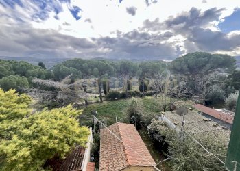 IMG_4465.jpg - Appartamento località casini, Scansano - foto 18