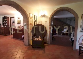 20250227_155402.jpg - Casale steccaia snc, Civitella Paganico - foto 9