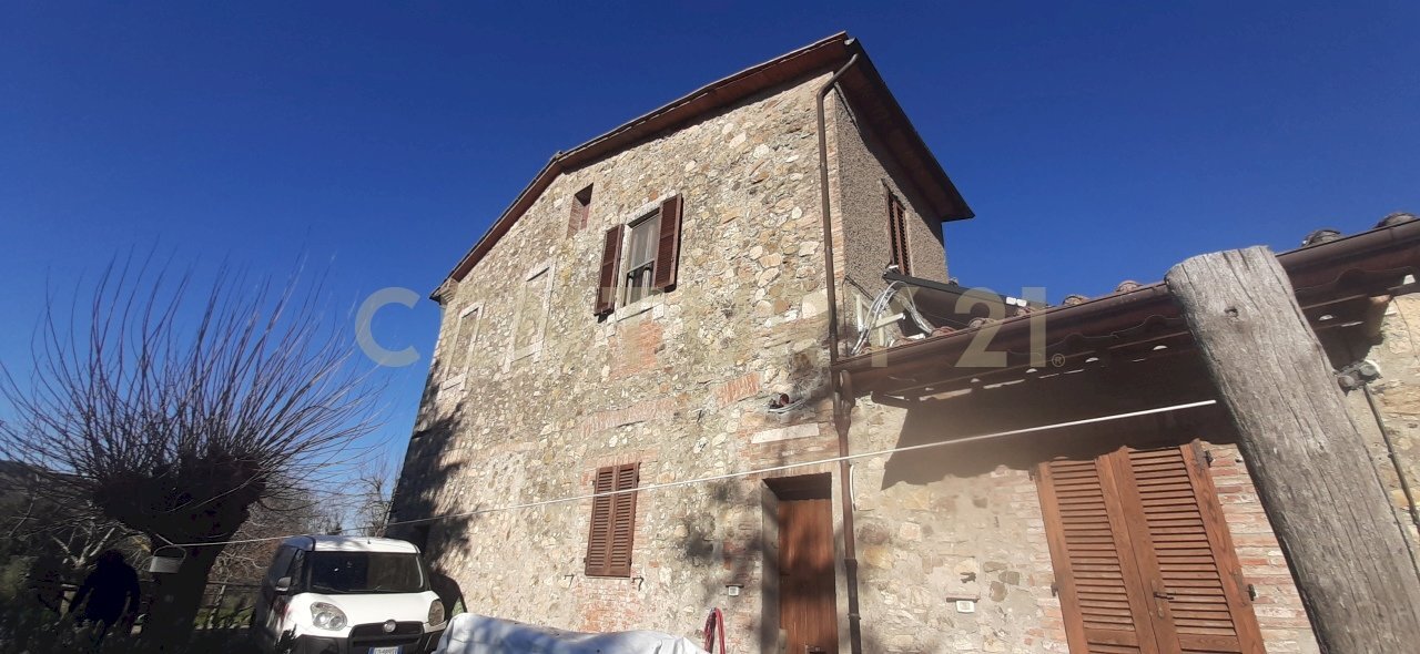 20250304_152601.jpg - Casale località fercole snc, Civitella Paganico - foto 2