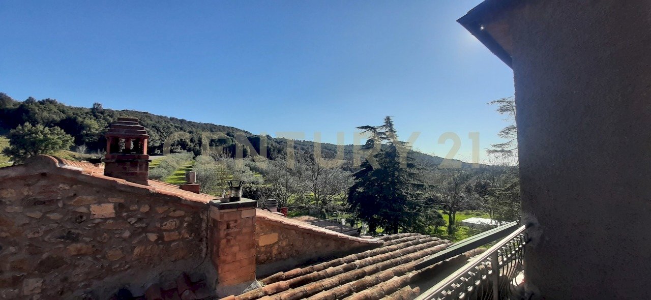 20250304_153455.jpg - Casale località fercole snc, Civitella Paganico - foto 3