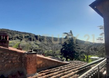 20250304_153455.jpg - Casale località fercole snc, Civitella Paganico - foto 3