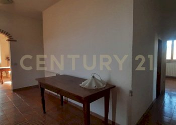 20250304_153549.jpg - Casale località fercole snc, Civitella Paganico - foto 6