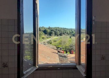 20250304_153741.jpg - Casale località fercole snc, Civitella Paganico - foto 13