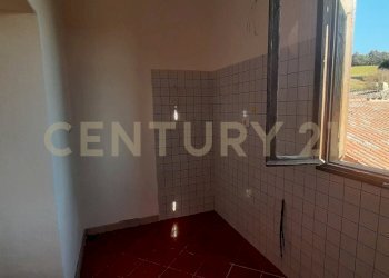 20250304_153736.jpg - Casale località fercole snc, Civitella Paganico - foto 21