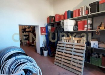 20250304_153148.jpg - Casale località fercole snc, Civitella Paganico - foto 29