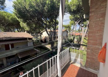 IMG_2527.jpg - Appartamento Via delle Ginestre 1b, Grosseto - foto 10