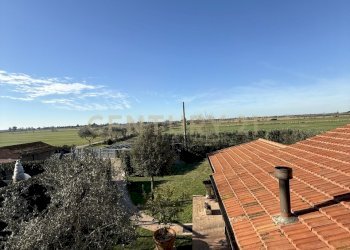 IMG_2687.jpg - Appartamento Strada della Principina 2, Grosseto - foto 22