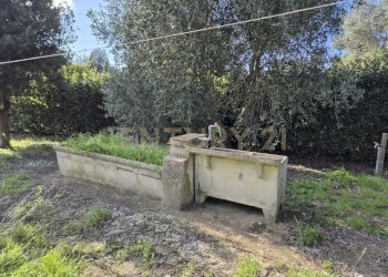 foto 13.jpg - Casale Via Luciano Raveggi 6, Orbetello - foto 13