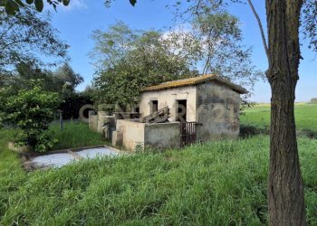 foto 14.jpg - Casale Via Luciano Raveggi 6, Orbetello - foto 14