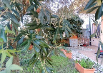 2 GIARDINO.jpg - Terratetto - Terracielo Via del Bollore, Castiglione d'Orcia - foto 22