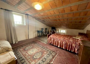 IMG_4655.jpg - Terratetto - Terracielo Via Grande 30, Cinigiano - foto 17