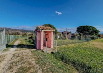 Podere Loretta-01.jpg - Villa Pian dei bichi, Roccastrada - foto 16