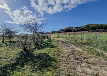 Podere Loretta-03.jpg - Villa Pian dei bichi, Roccastrada - foto 17