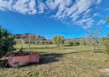 Podere Loretta-08.jpg - Villa Pian dei bichi, Roccastrada - foto 18